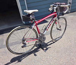 Bicycle<br/>TREK Domane