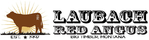 Selling:  35 Bulls and 30 Heifers<br/>Laubach Red Angus 19th Annual Production Sale