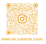 Standard poodle puppies and Schnauzer puppies<br/>Puppies for homing